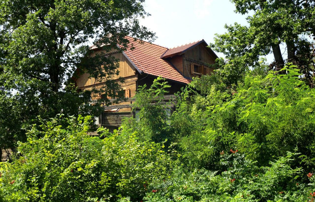 Kuca Suncani Brijeg Pokupsko Esterno foto